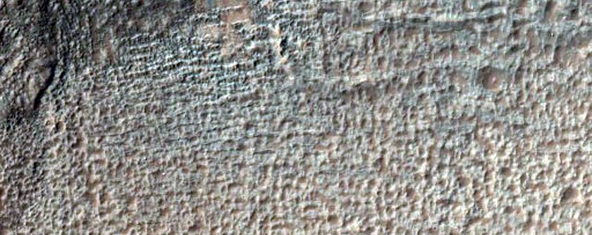 Gully Monitoring in Terra Sirenum