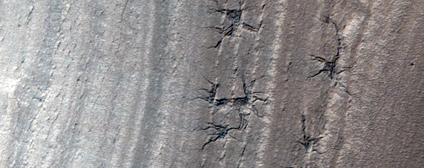 Basal Exposure of South Polar Layered Deposits