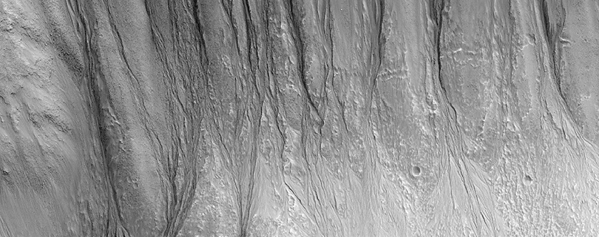 High-Density of Gullies in Dao Vallis