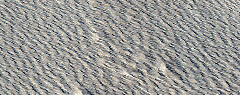 Monitoring New Impact Site