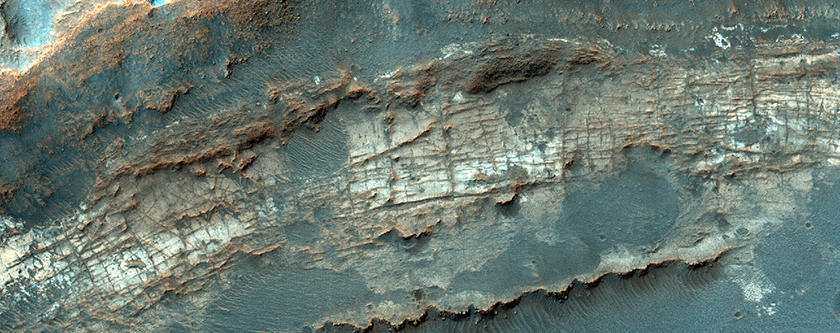 Cracked Light-Toned Basin Fill Exposed in Crater Wall