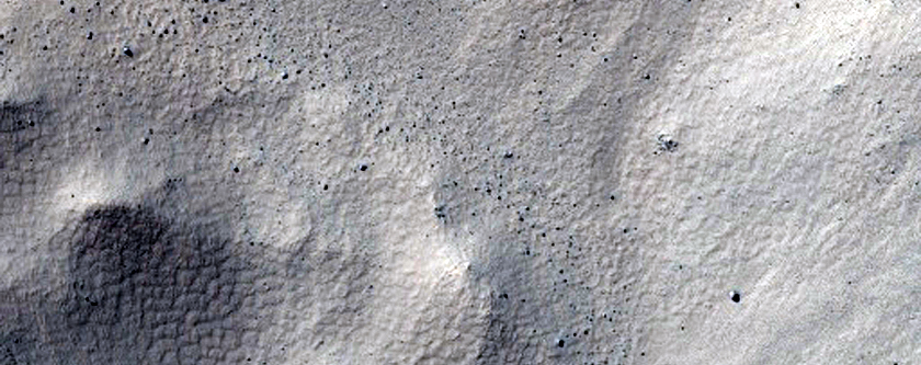 Gully Monitoring