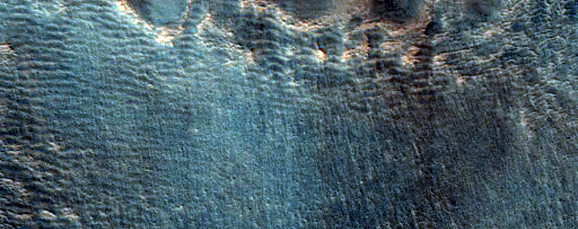 Gully Monitoring