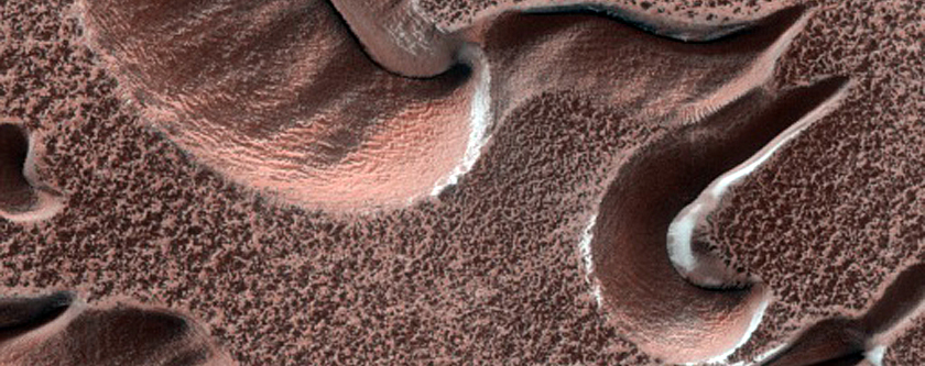 Dunes with Large Gullies and Alcoves