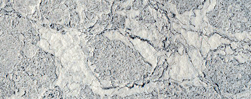 Complex Platy-Ridged Surface in Cerberus Palus