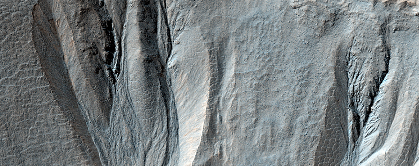 Gullies in Crater in Terra Sirenum