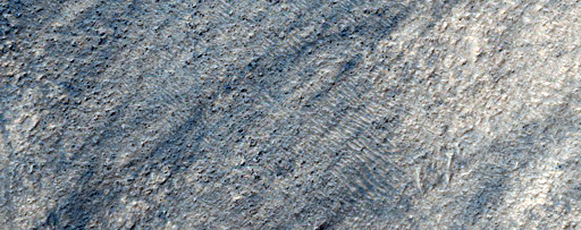 Polygonal Terrain in Hellas Planitia