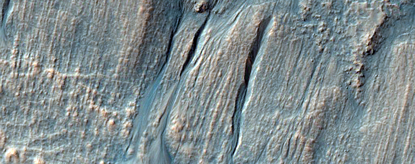 Gully Monitoring