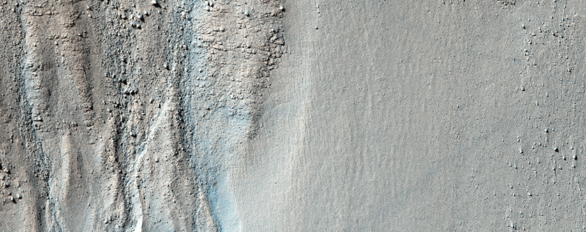 Gullies in Mid-Latitude Crater