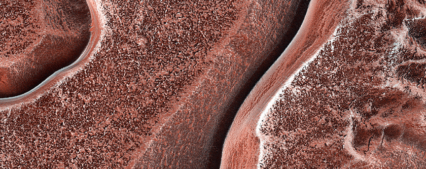 Dunes with Cracks and Fans Dubbed Zanovar