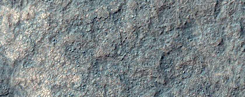 Rocky Surface Exposure