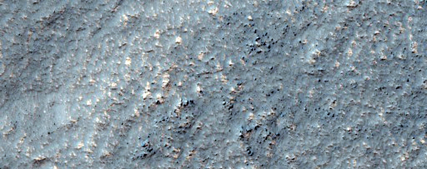 Possible Gully in Crater in Noachis Terra