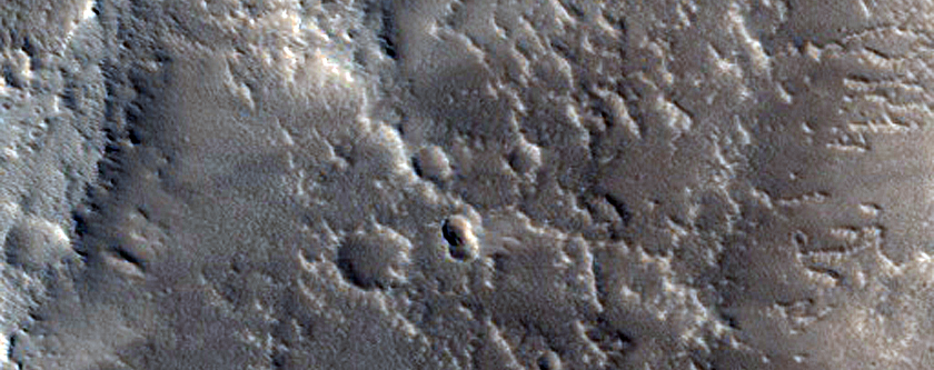Sinuous Ridges in Western Tempe Terra