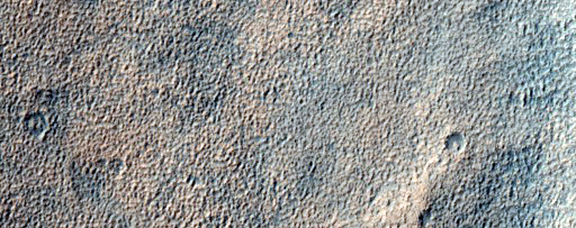 Waikato Vallis