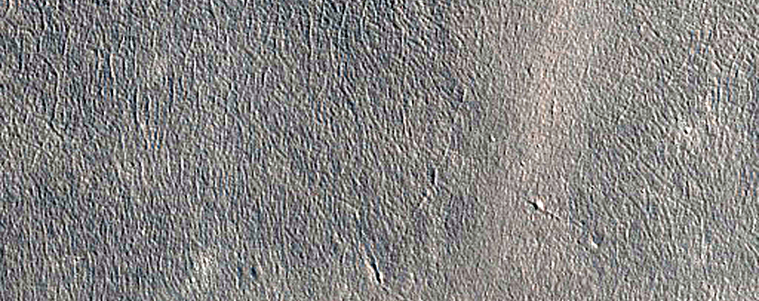 Possible Terraced Crater in Arcadia Planitia