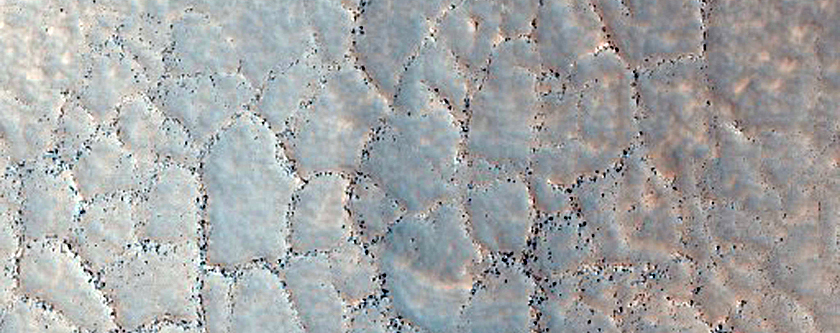 Polygons in Lyot Crater Ejecta