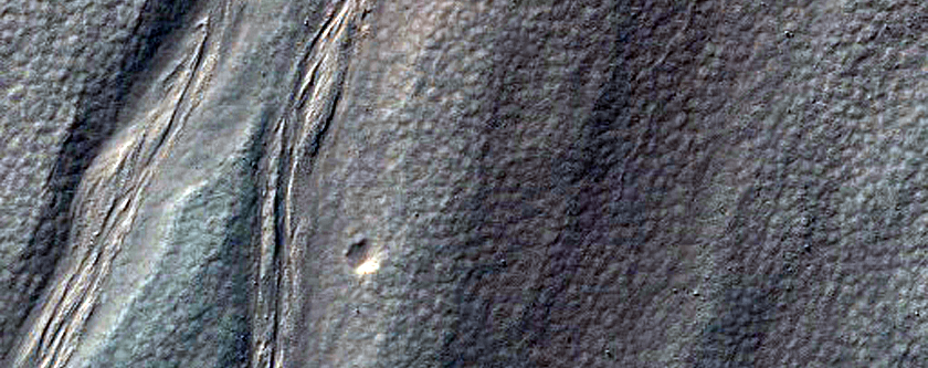 Gully Monitoring