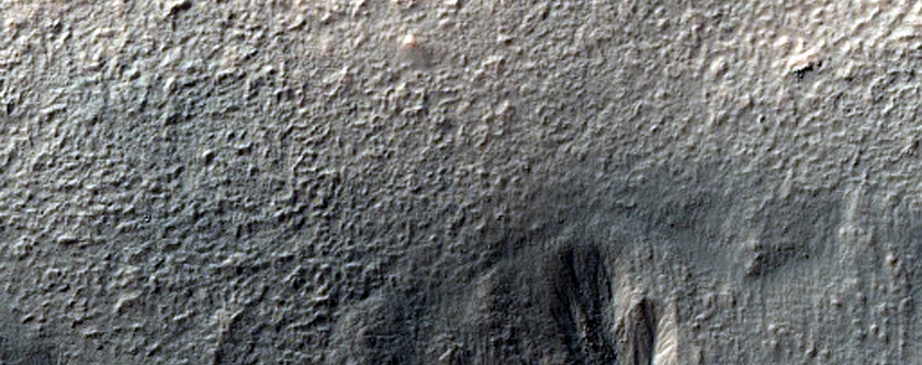 Gully Monitoring