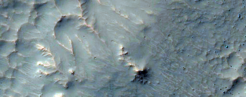Gully Monitoring