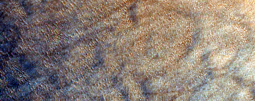 Dune Gullies along Scarp in Hellas Planitia