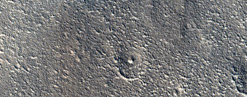 Possible Terraced Bullseye-Like Crater in Arcadia Planitia