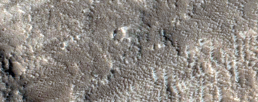 Ridges in Tempe Fossae Region