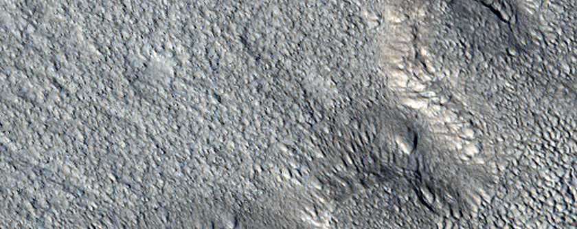 Pitted Mid-Latitude Surface