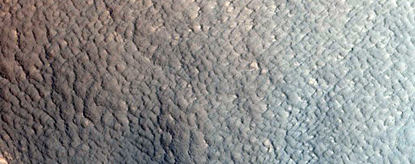 Possible Gullies in Northern Mid-Latitude Crater in Phlegra Montes