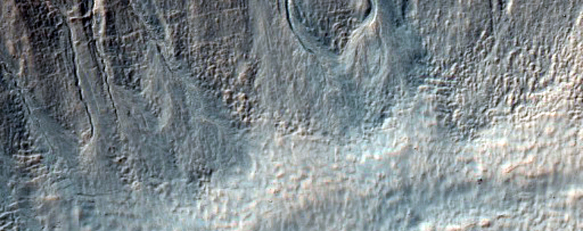 Gullies in Crater on Rim of Newton Crater
