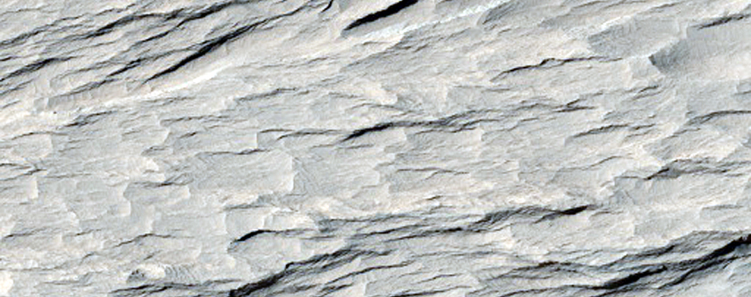 Dark Sediments in the Medusae Fossae Formation