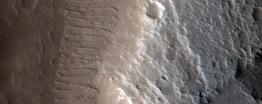 Sinuous Ridges in Western Tempe Terra