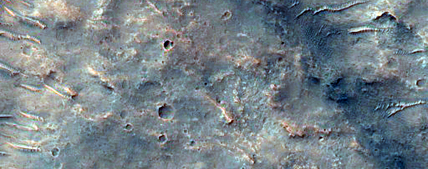 Possible Chloride-Rich Terrain