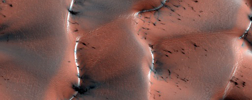 Dunes with Cracks and Fans Dubbed Zanovar