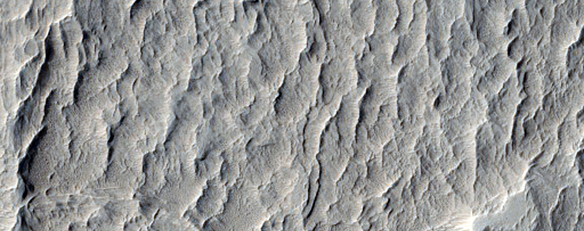 Rings in Schiaparelli Crater