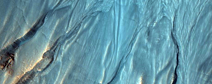Gully Monitoring