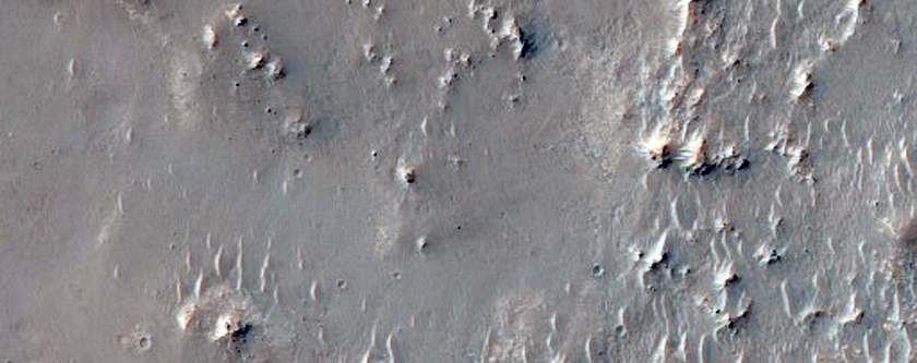 Putative Chloride-Rich Terrain