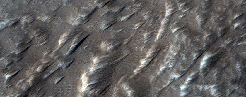 Possible Rootless Vent on Olympus Mons