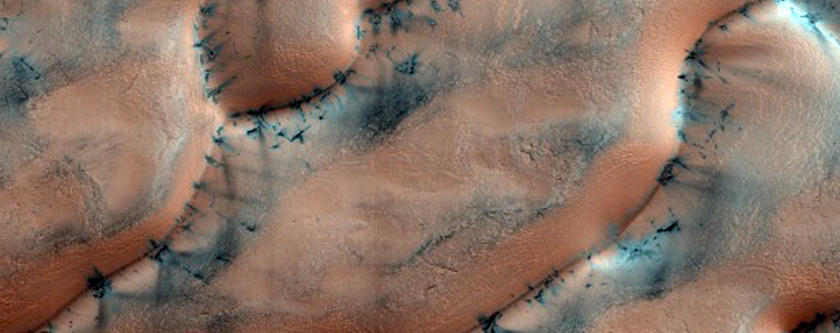 North Polar Gypsum Dunes