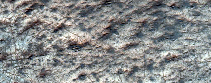 Patch of Rocky Ground
