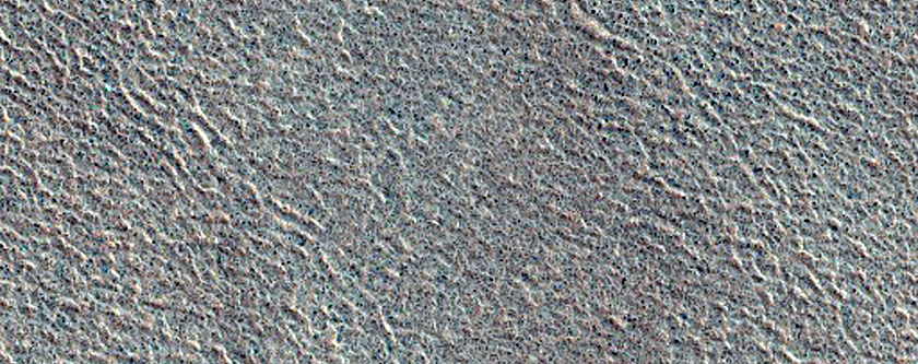 Vastitas Borealis Terrain Survey