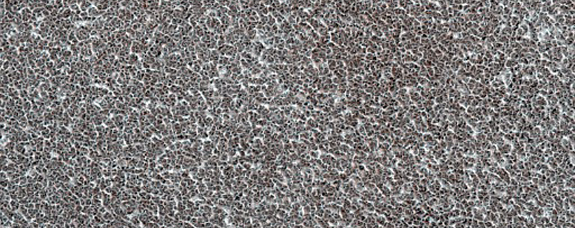 Vastitas Borealis Terrain Survey