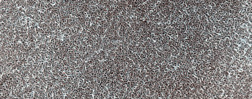 Vastitas Borealis Terrain Sample