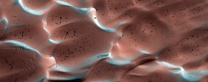 Dunes Dubbed Buzzel