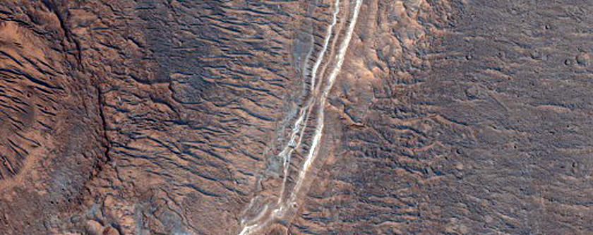 Possible Lake Margin in Shalbatana Vallis
