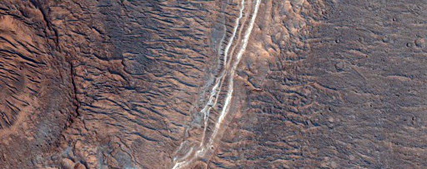 Possible Lake Margin in Shalbatana Vallis