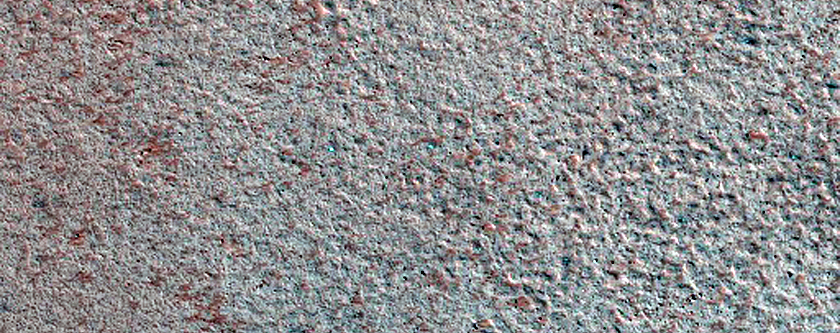 Northern Plains Defrost
