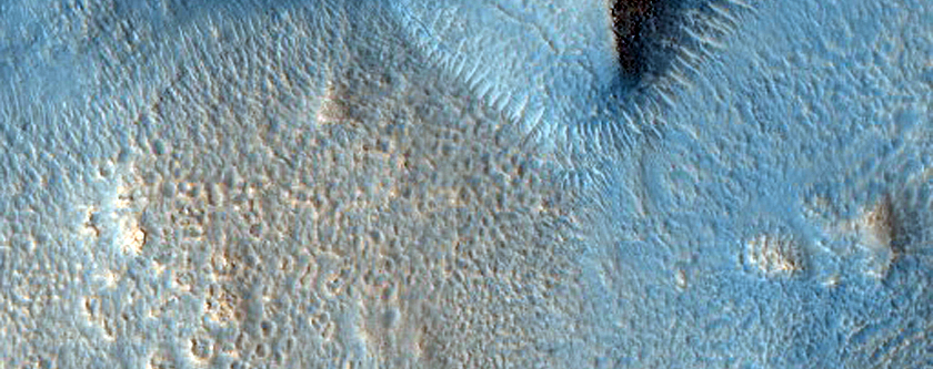 Possible Hydrated Silicates in Acidalia Planitia