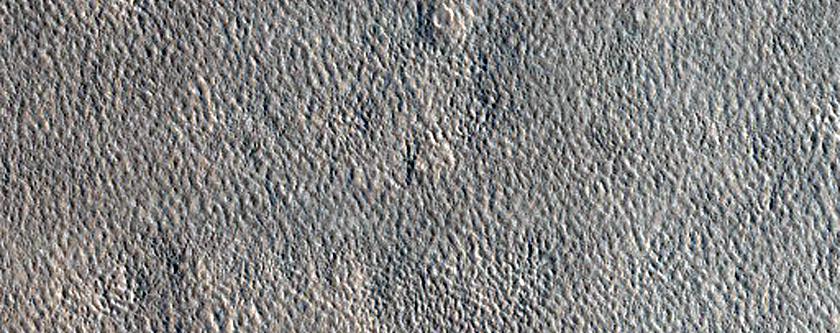 Sample Northern Plains