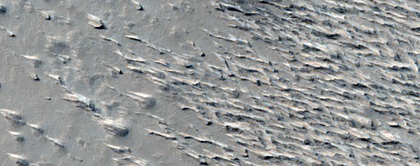 Candidate New Impact Site