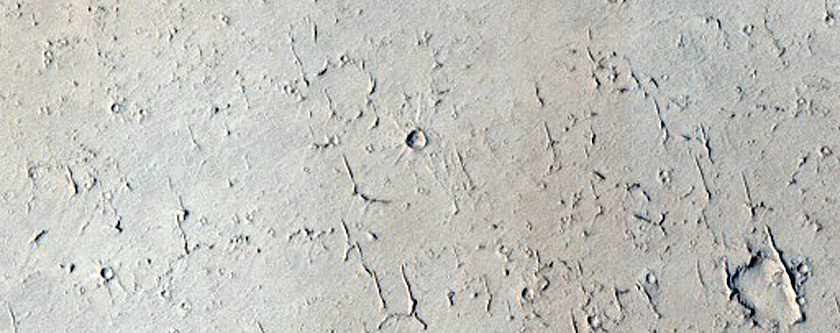 Candidate New Impact Site